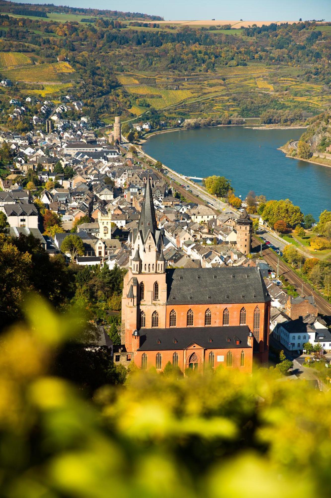 Готель Winzerhof Ross & Rose Trechtingshausen Екстер'єр фото