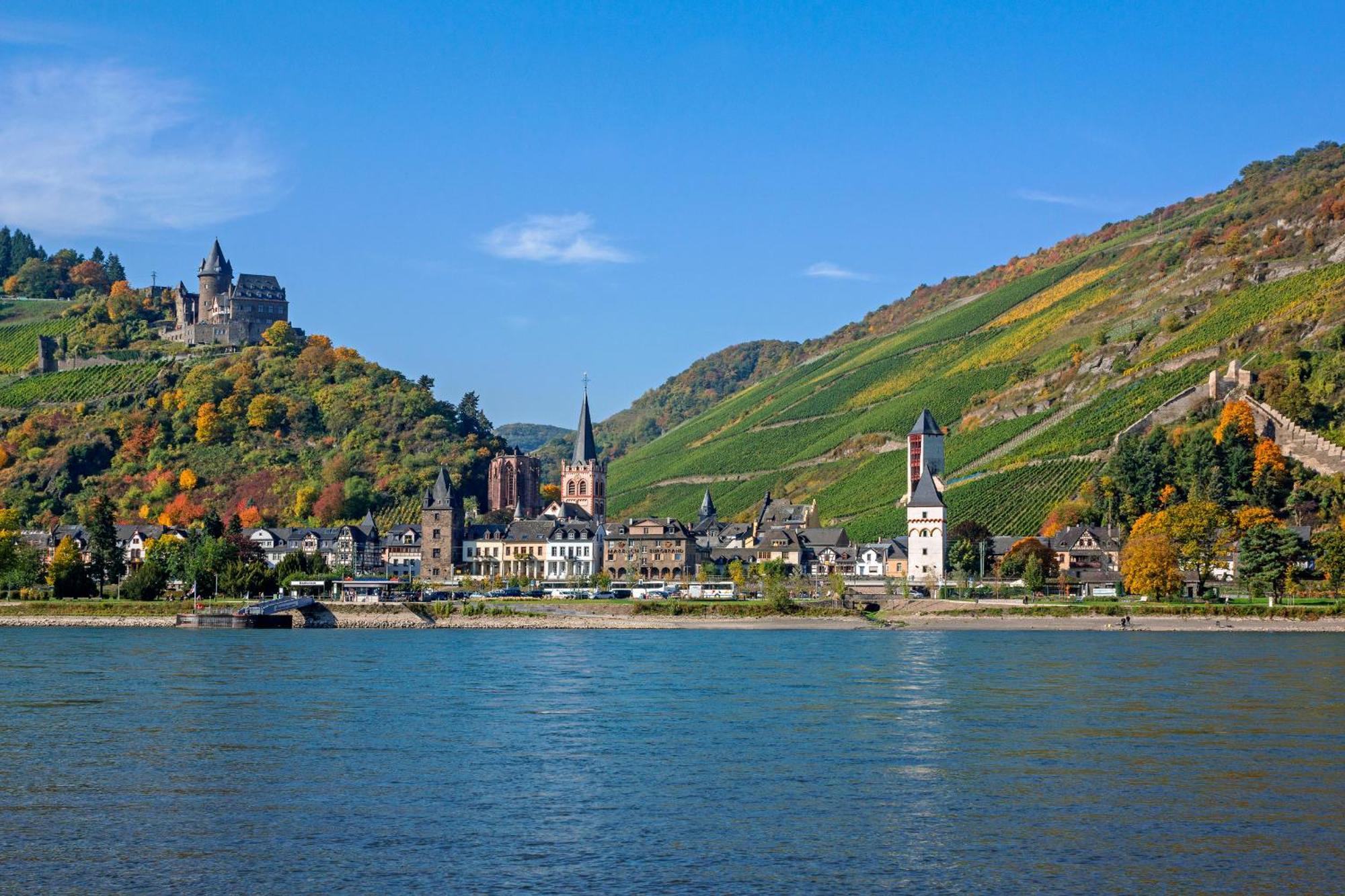 Готель Winzerhof Ross & Rose Trechtingshausen Екстер'єр фото